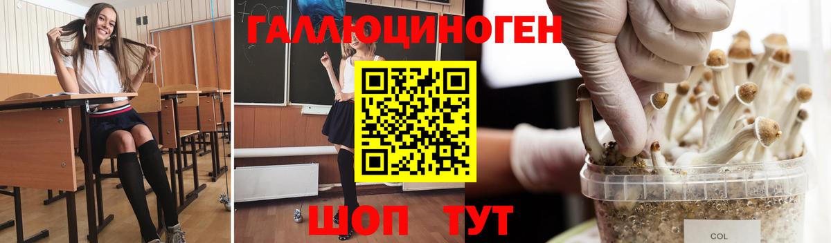 Галлюциногенные грибы Magic Shrooms  наркошоп  Славянск-на-Кубани  Вход с VPN  Галлюциногенные грибы прущие грибы 
